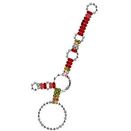 secondary structure