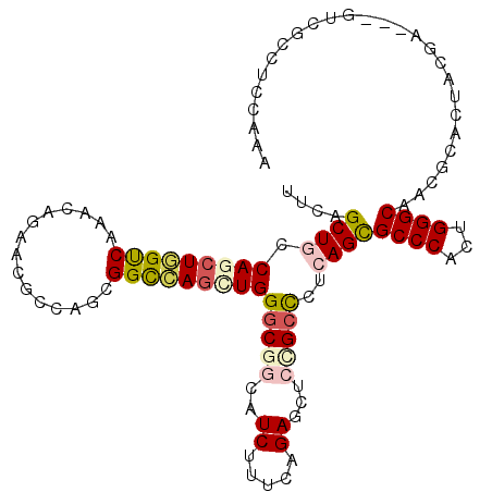 secondary structure