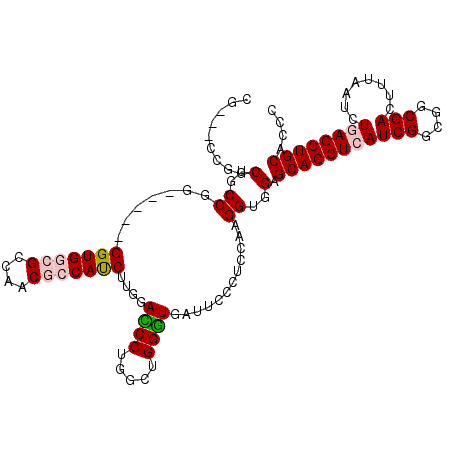 secondary structure