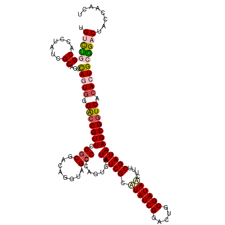 secondary structure