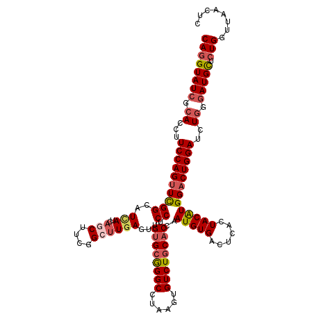 secondary structure