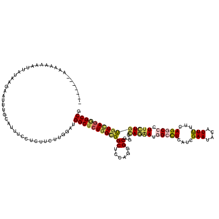 secondary structure