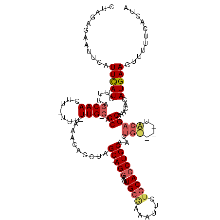 secondary structure