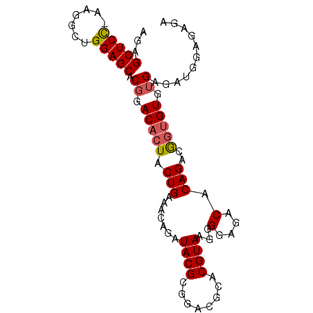 secondary structure