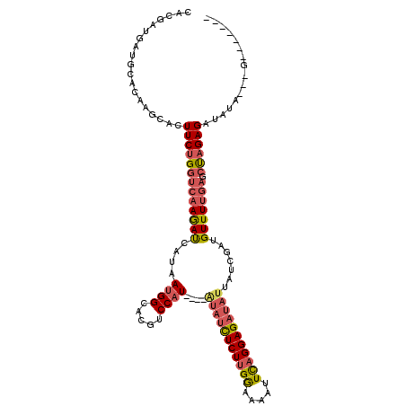 secondary structure