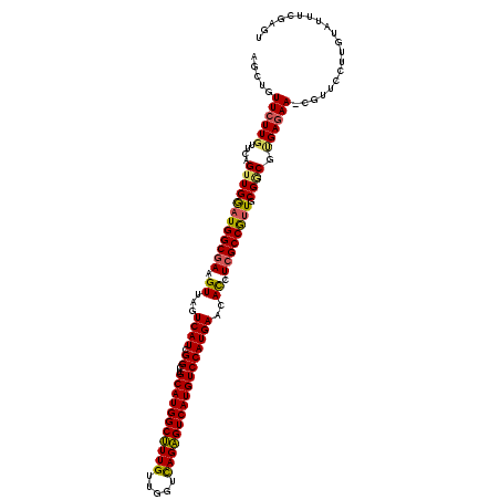 secondary structure