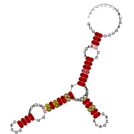secondary structure