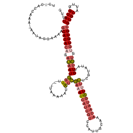 secondary structure