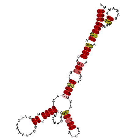 secondary structure
