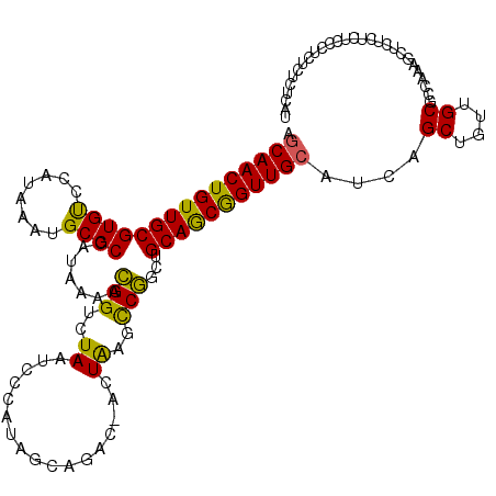 secondary structure