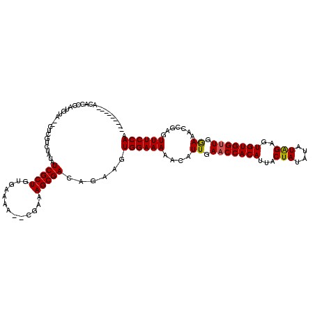 secondary structure
