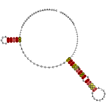 secondary structure