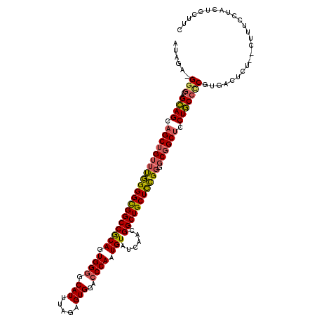 secondary structure