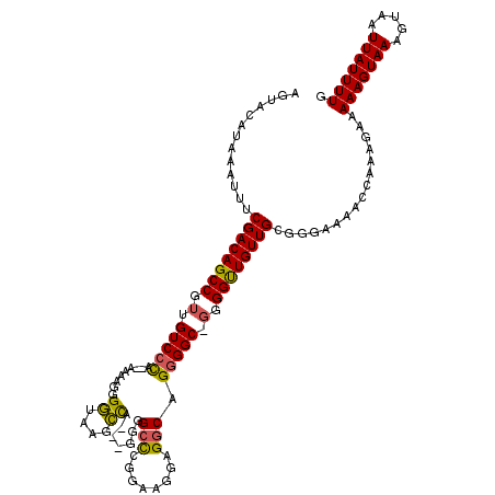 secondary structure