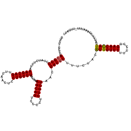 secondary structure