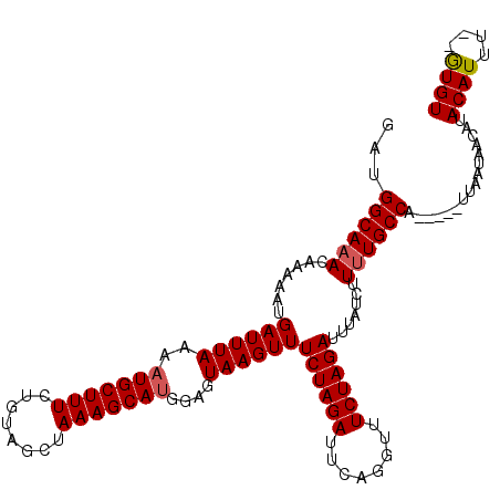 secondary structure