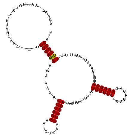 secondary structure