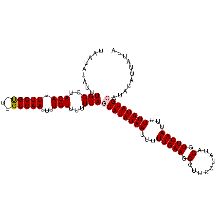 secondary structure