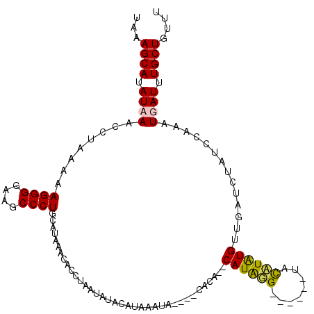 secondary structure
