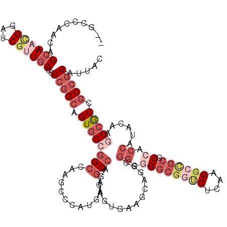 secondary structure