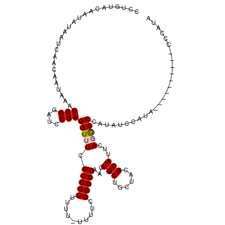 secondary structure