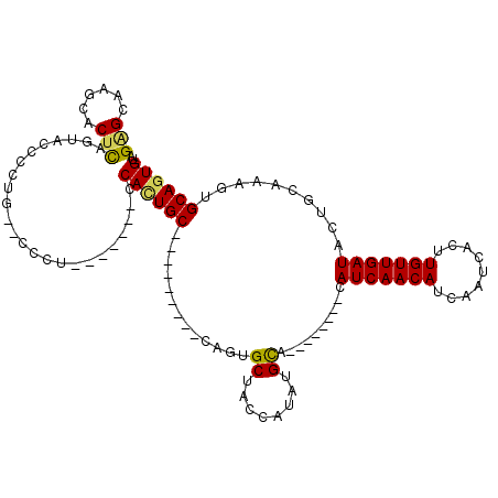 secondary structure