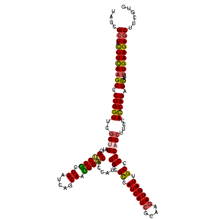 secondary structure