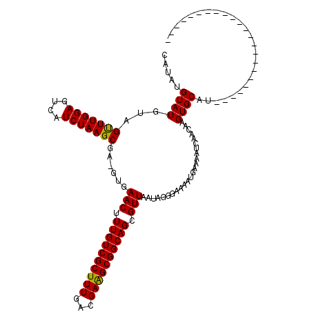 secondary structure