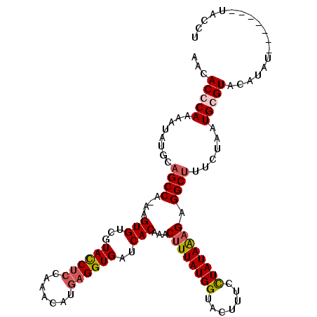 secondary structure