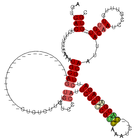 secondary structure