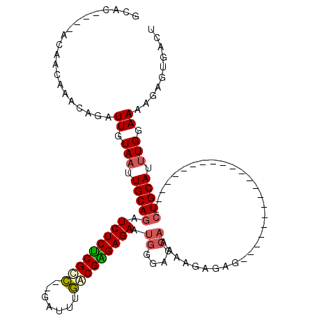 secondary structure