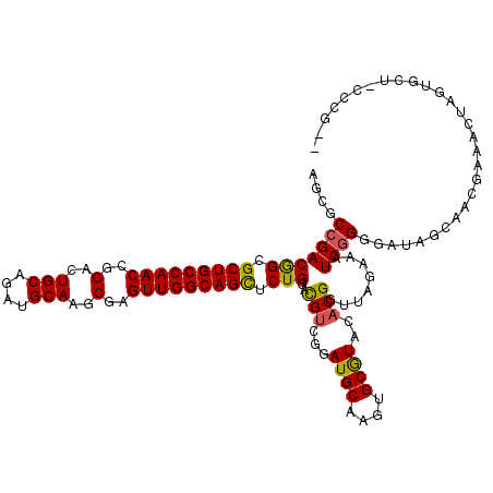 secondary structure