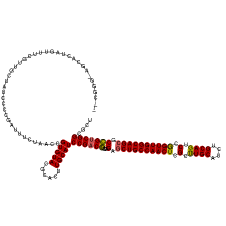 secondary structure