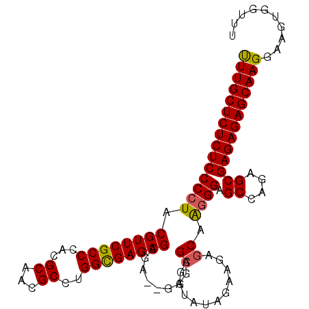 secondary structure