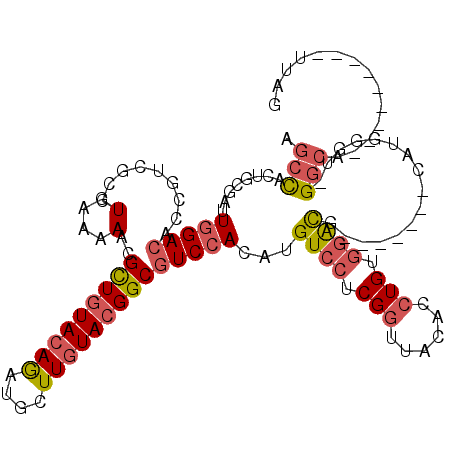 secondary structure