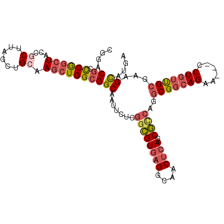 secondary structure