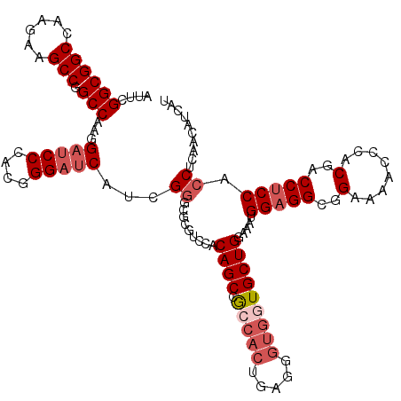 secondary structure