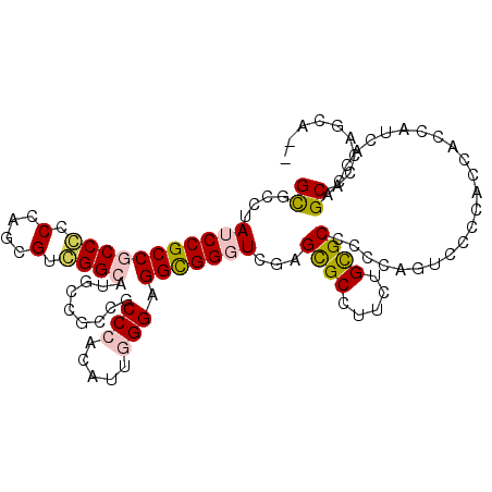 secondary structure