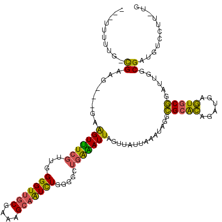 secondary structure