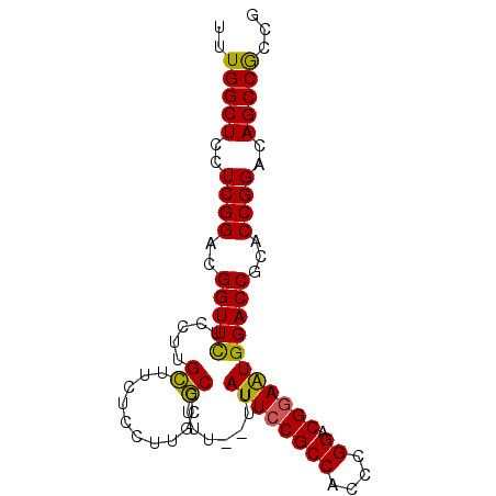 secondary structure