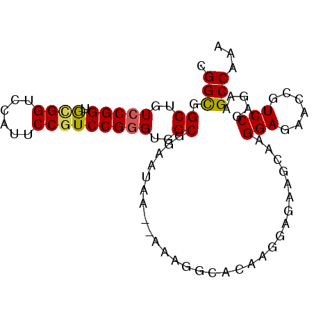 secondary structure