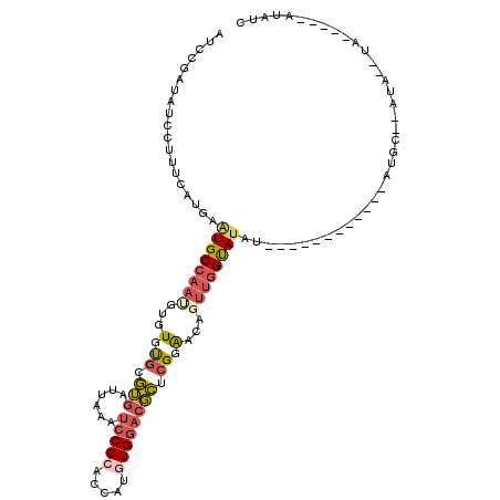 secondary structure