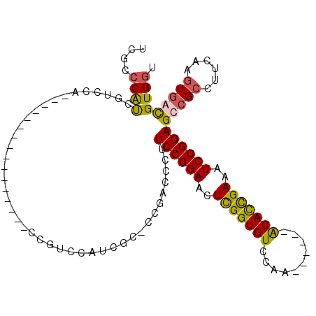 secondary structure