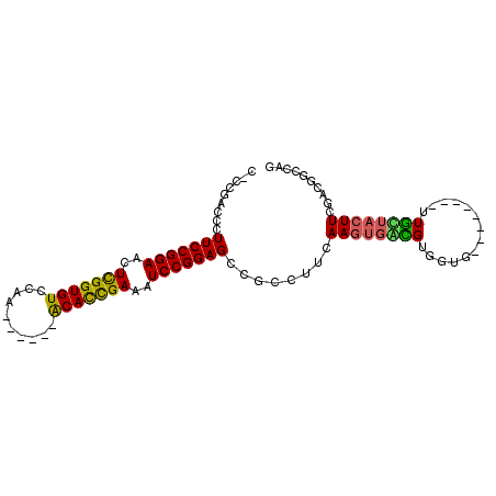 secondary structure