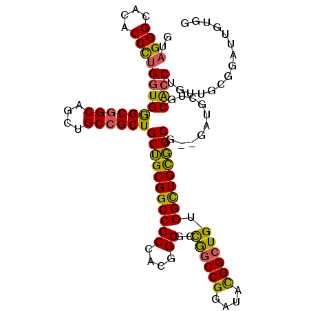 secondary structure