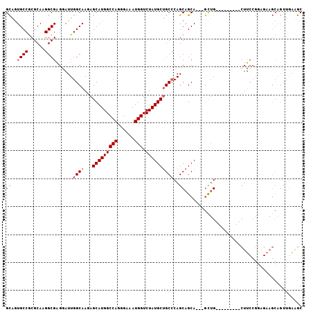 dotplot