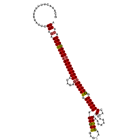 secondary structure