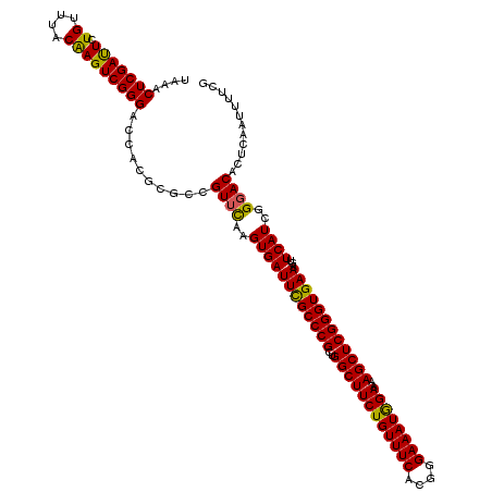 secondary structure