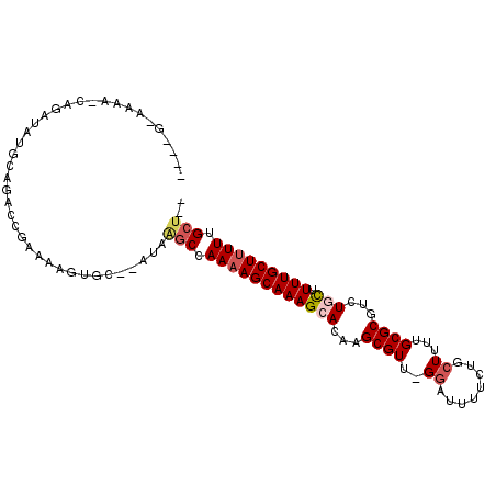 secondary structure