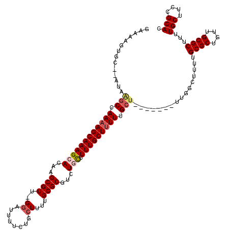 secondary structure